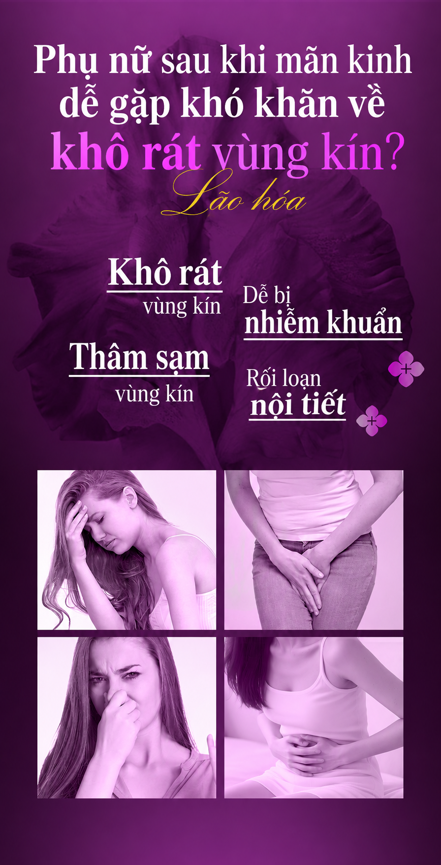 Ảnh 3
